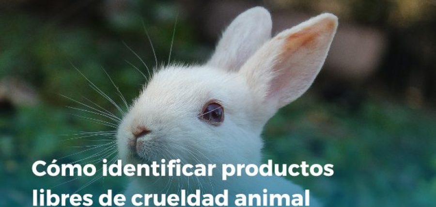 Productos libres de la crueldad animal